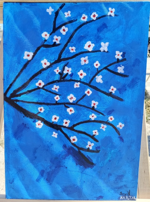 17-05-2025